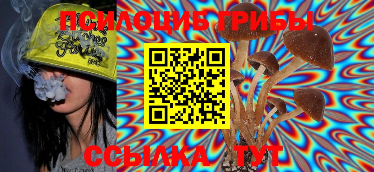 Галлюциногенные грибы GOLDEN TEACHER Ангарск