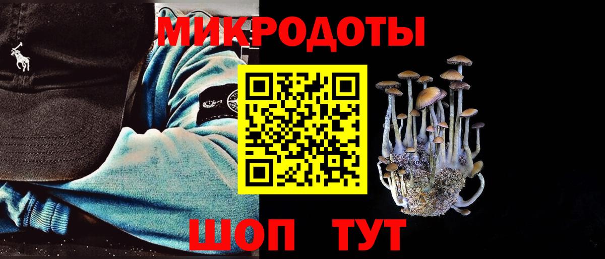 Галлюциногенные грибы Cubensis  Вход с VPN  Ангарск 